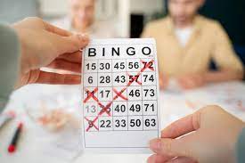 The Social Aspect of Bingo – More Than Just a Game